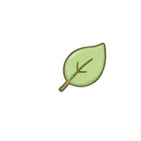 Lá cây